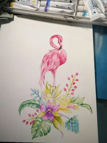 水彩练习,火烈鸟插画.