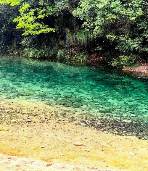 来黄山啦～～#大山深处自然美山清水秀好风光 #清澈见底的水  - 抖音