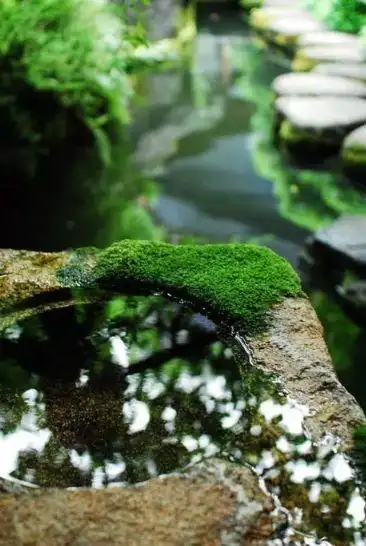 蝉这首诗表达了什么禅的意境的诗词