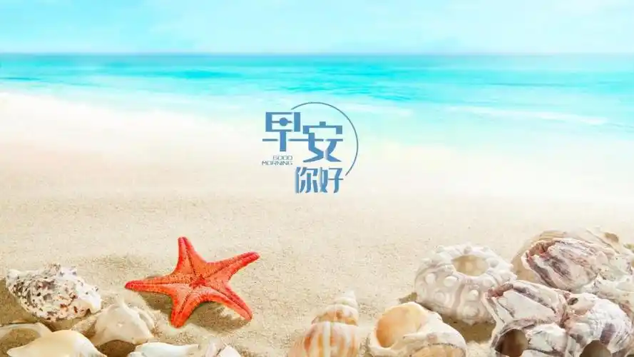 清新迷人的早安语录