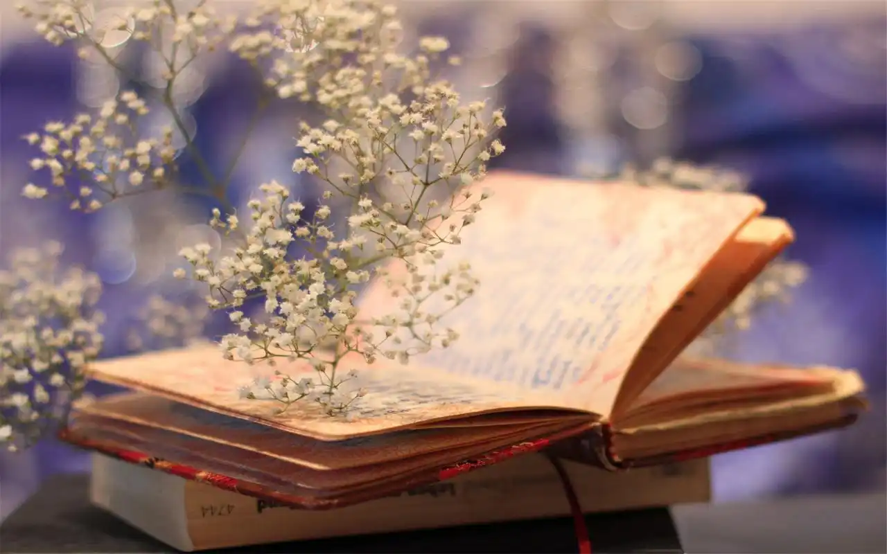 满天星花卉唯美高清桌面壁纸