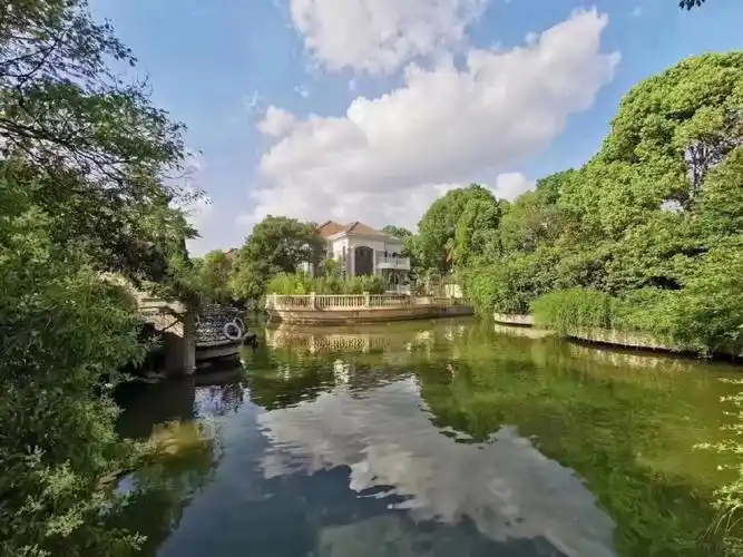 西郊大公馆楼王在售