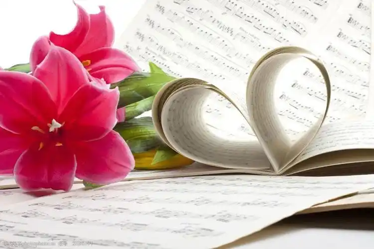 卷起来的音乐书与花朵图片