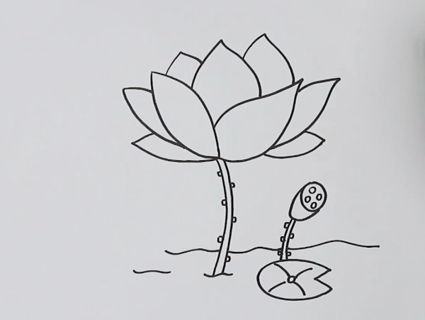 荷花简笔画