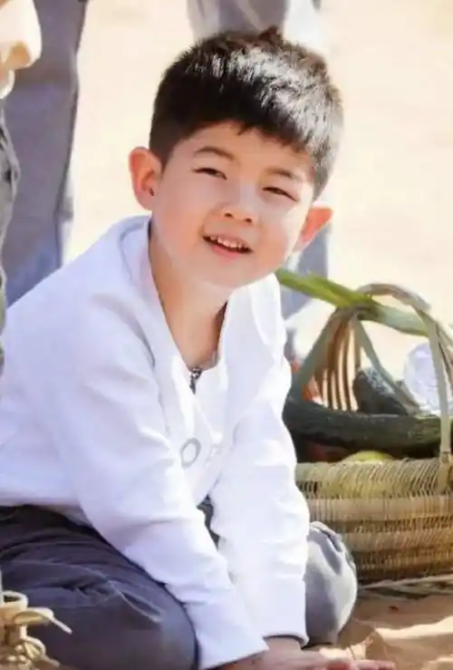 46岁胡可被曝高龄怀三胎小腹凸起孕味十足沙溢去年陷出轨风波