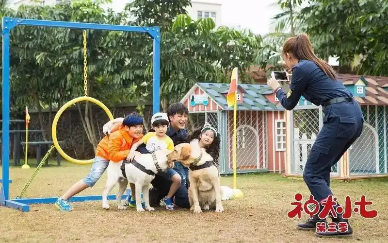 《神犬小七第三季》曝童真主题剧照 萌娃萌宠暖心治愈可爱翻倍