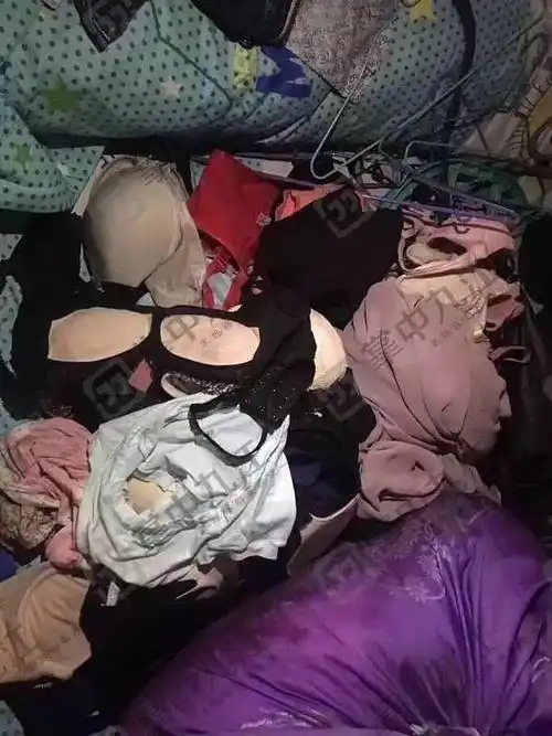 男子偷上万件女士内衣