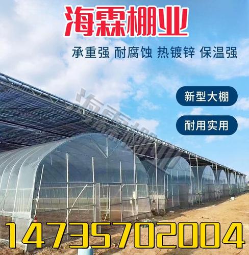 陕西养鸡大棚养殖钢管养兔大棚养牛架子全套养猪大棚骨架养羊大棚