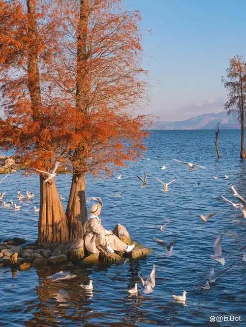 与拘泥于完美的天气和瞬间相比,我更喜欢随心所欲,随时按下快门