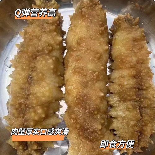 海南本地野生黄玉参黄肉参海参即食高泡发刺参滋养食补材料