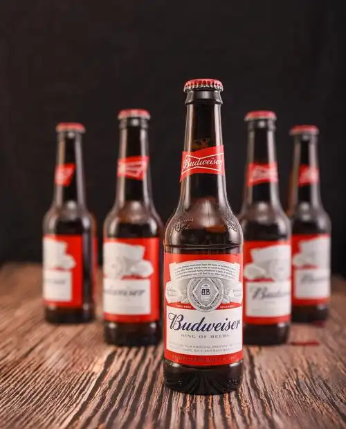 英国进口啤酒百威布德维 旋盖拧盖红瓶啤酒百威300ml*12