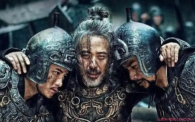 何驸马为何要杀司马懿 何驸马为什么要找个女的来演 何驸马为什么杀