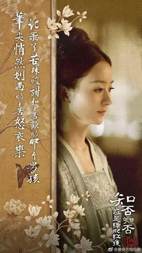 知否知否应是绿肥红瘦海报