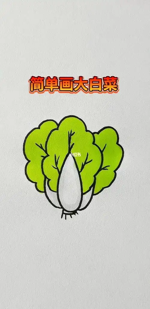 简笔画大白菜