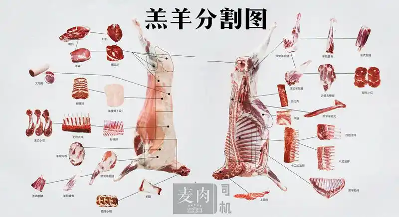 羔羊全排批发内蒙古风味中式手撕羊排羊全排