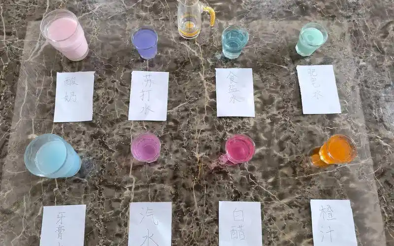 初中化学实验(酸碱指示剂小实验)