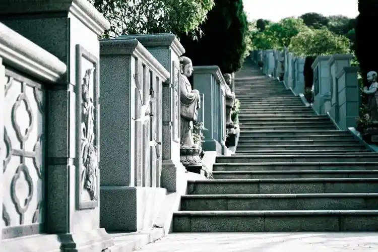 愈见思念|念念不忘,必有回响