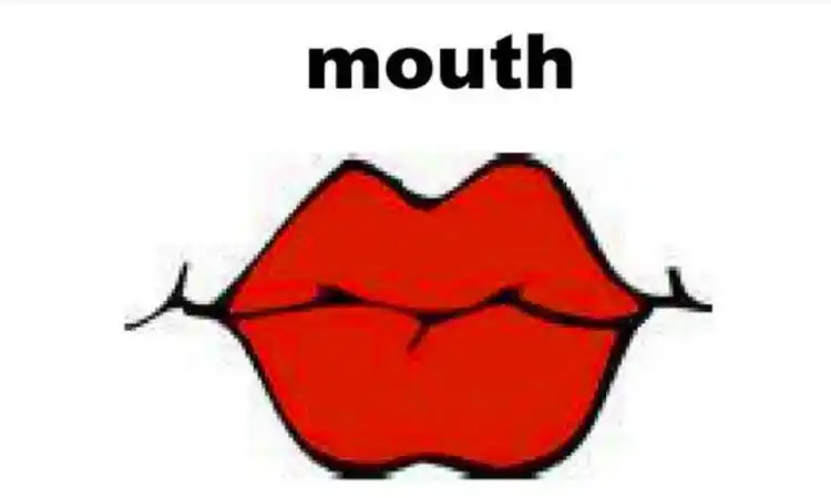 mouth是什么意思优质