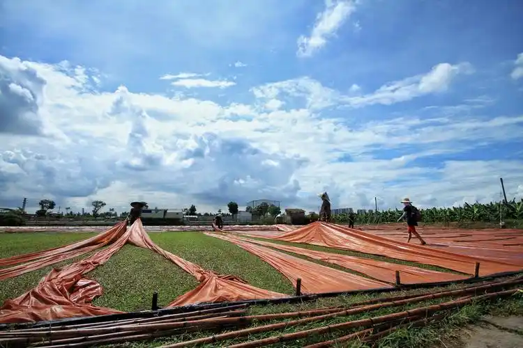 香云纱制作过程
