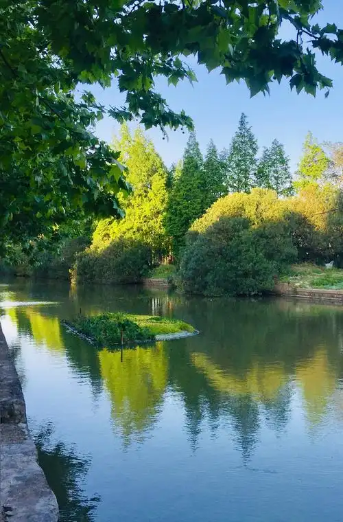 阳光灿烂的地方