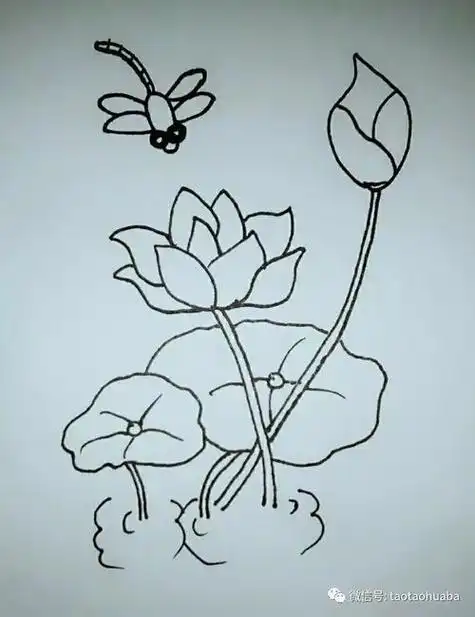 荷花简笔画儿童-简笔画-369作文网