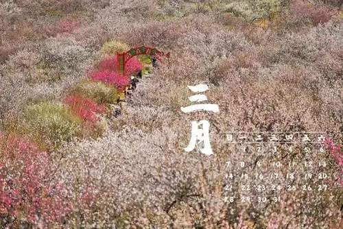 张张都是壁纸2021版太湖度假区定制日历