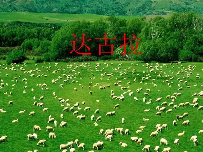 四年级下册音乐课件-达古拉(2)湘教版(2014秋)ppt_word文档在线阅读与