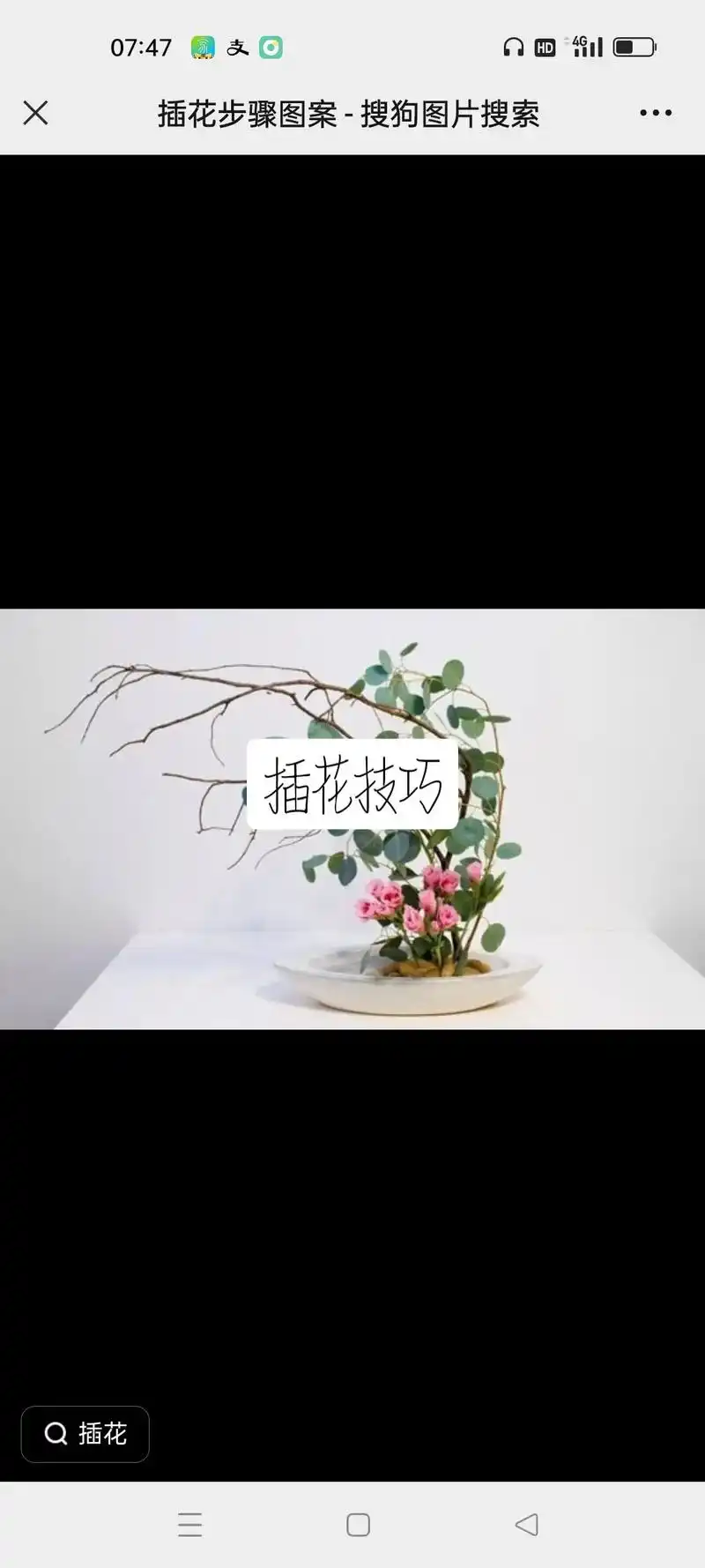 07:47 国支 插花技巧 插花步骤图案-搜狗图片搜索 插花 - 抖音