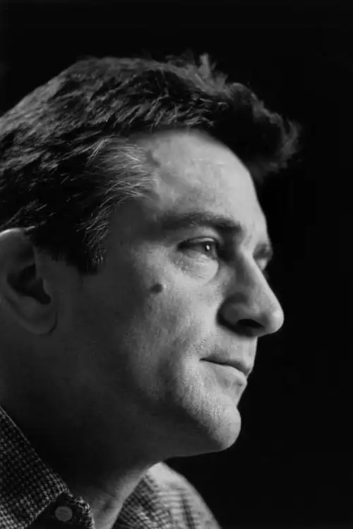 p>罗伯特·德尼罗(robert de niro),1943年8月17日出生于美国纽约