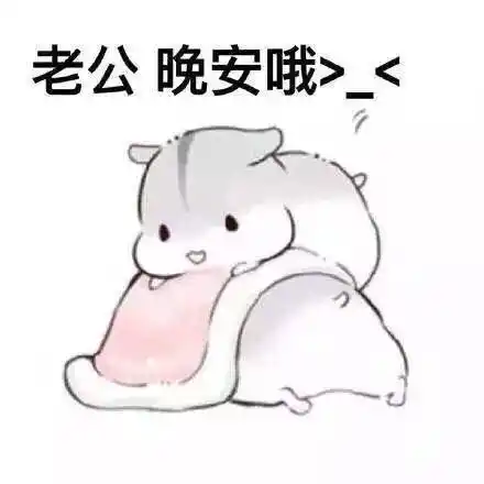 喊老公(什么梗)表情包小仓鼠版