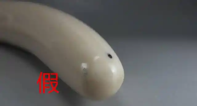 如何鉴别猛犸象牙