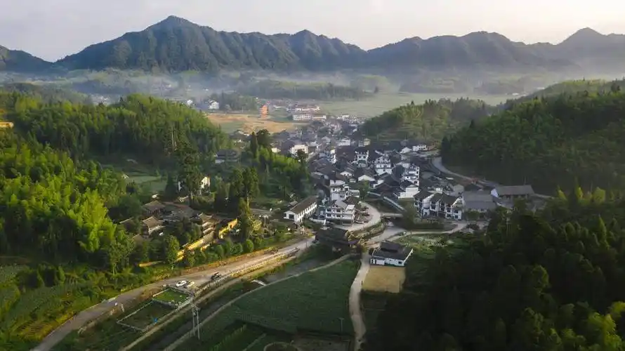 景宁县大漈乡"二十年前,我们还没有产业支撑,乡里很支持我们农民做