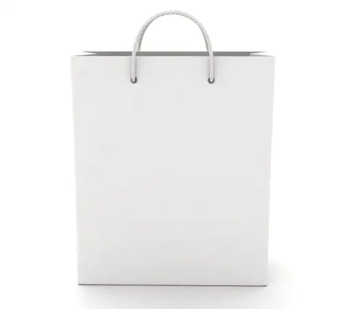 手提袋图片