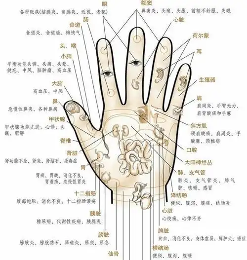 肝火旺则脾胃弱手掌心的秘密准确告诉你在家该如何来辨识防治