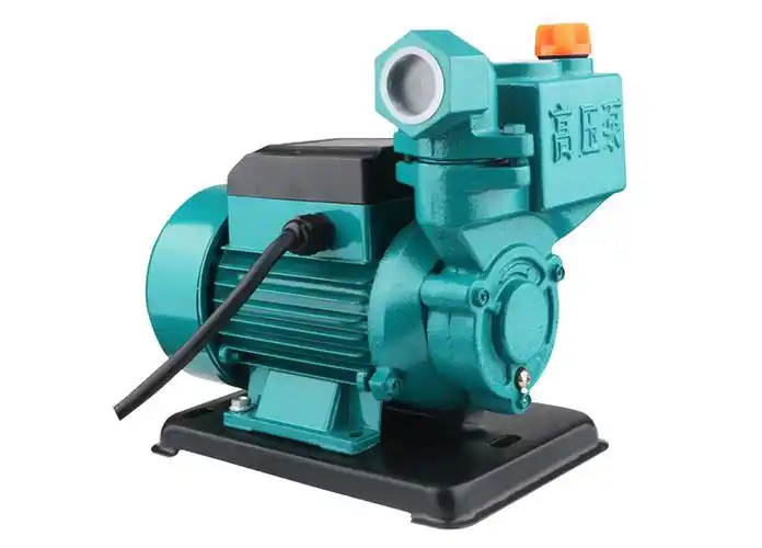 直流12v48v小型自吸泵抽水机船用浇菜洗车园林电瓶车自来水增压泵交流