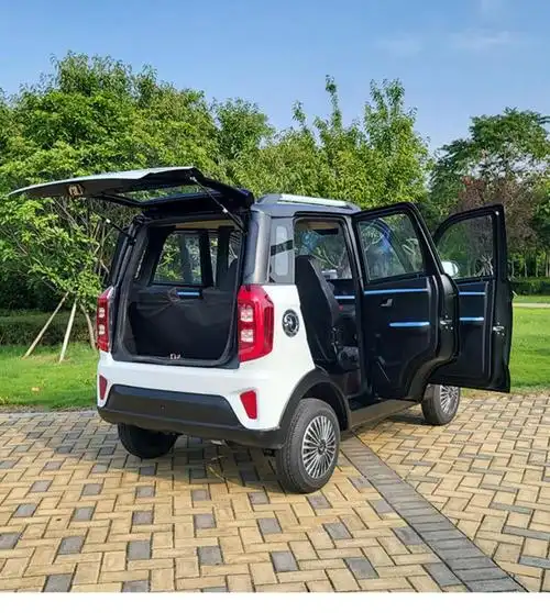 有空调的电动车 四轮电动车家用成人代步轿车新能源小汽车女士封闭油