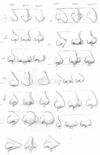 人体五官简笔画鼻子