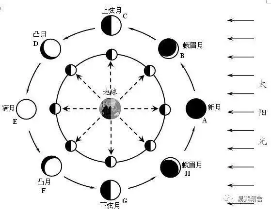 都是正对月亮的一面是亮的,  背对太阳的一面是暗的(平面示意图的内圈