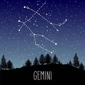 双子座的手在针叶林的夜空中绘制星座星座.矢量图形占星术插图.