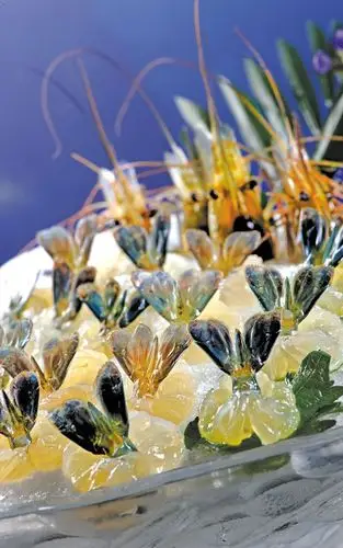 意大利前总理盛赞的徐记海鲜,这次终于开到太奥广场了!