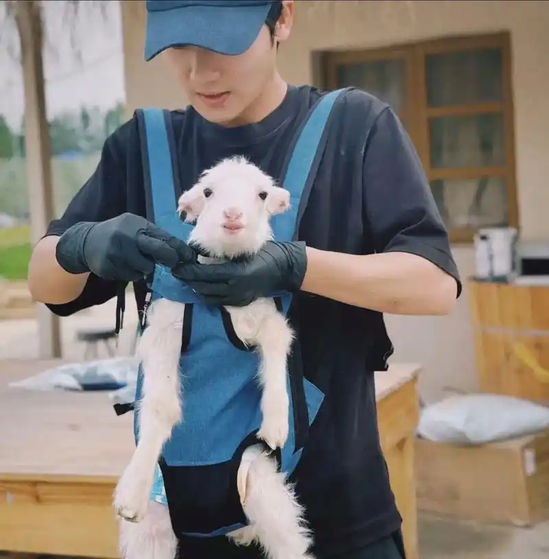 晴天公主就算去了咩咩星也是最幸福的小羊.