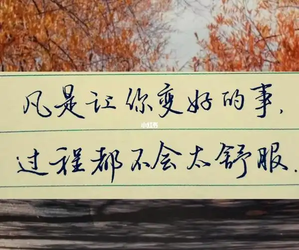 写字让我们慢慢变好