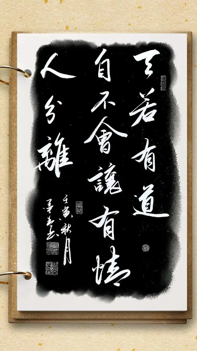 墨青书法-天若有道   自不会让有情人分离.#书法作品欣赏  - 抖音