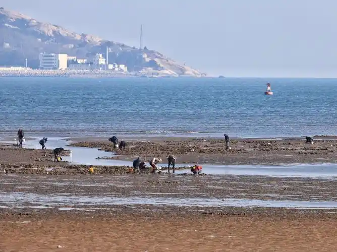 大美崂山,魅力沙子口湾