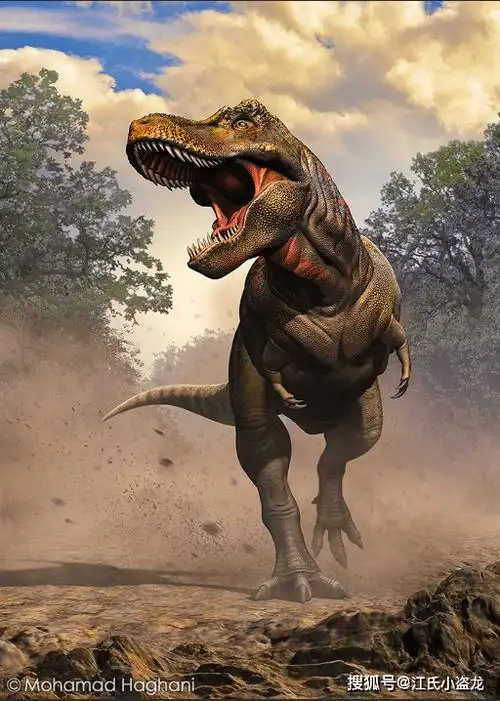 诸城暴龙的体型巨大,前肢却短的不成比例诸城暴龙生存于距今7350万年