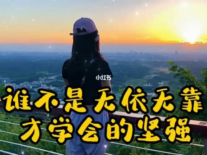 谁不是无依无靠才学会的坚强