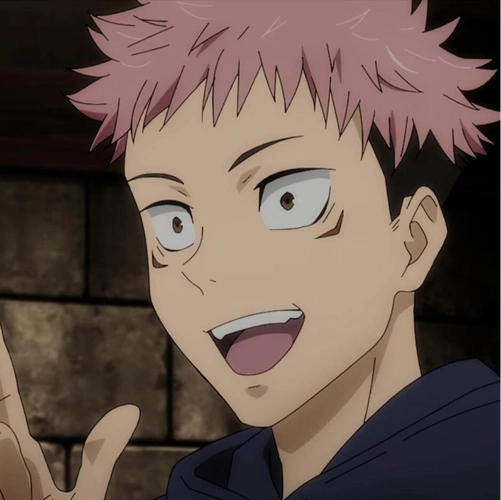 虎杖悠仁(漫画《咒术回战》中的男主角) - 平安百科网