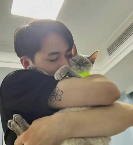 今日许魏洲还被拍到婚后首现身,先让助理护送老婆进