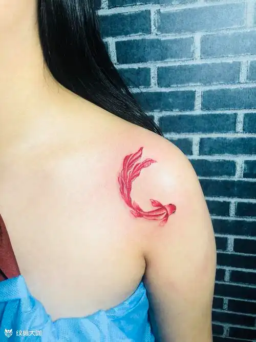 肩胛骨小鲤鱼_纹身图案手稿图片_梅梅的纹身作品集