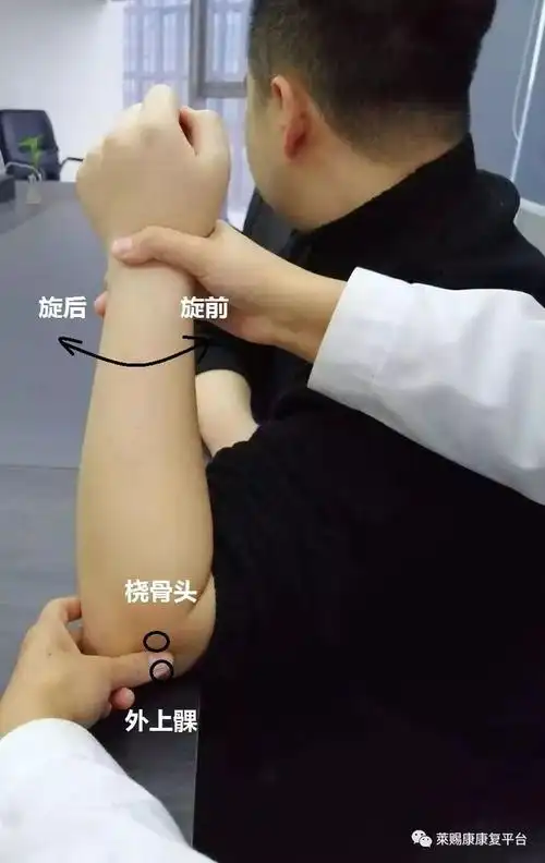 再稍微往后方移动,便能触到桡骨头,并可随前臂一起旋转